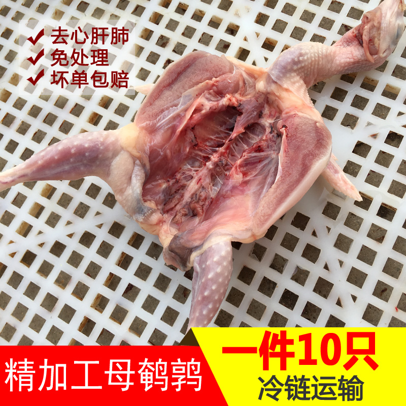 大母鹌鹑肉新鲜 现杀鹌鹑肉速冻 冷冻白条烧烤食材炖汤生骨肉10只