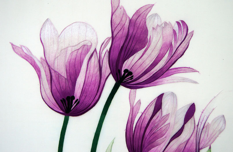 苏绣单面绣 《郁金香》刺绣