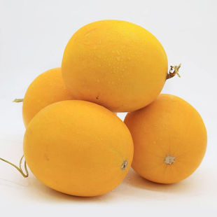 现摘民勤黄金蜜瓜甜瓜新鲜水果当季头茬沙漠香瓜10斤整箱