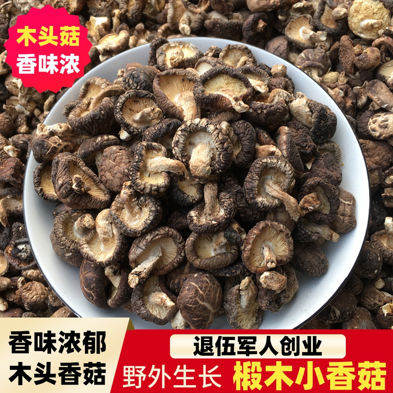 椴木小香菇干货野外生长干香菇500