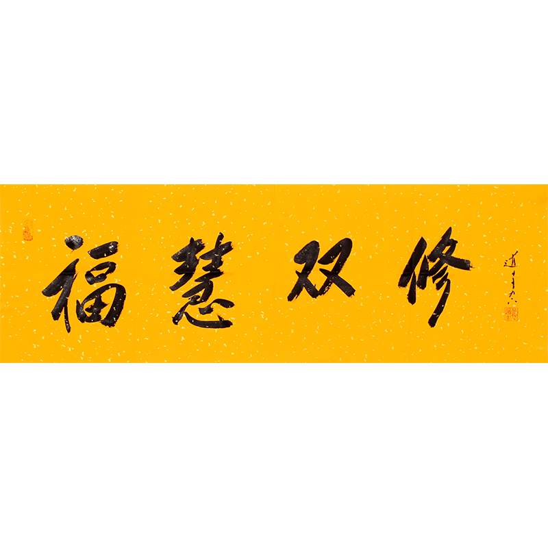 普陀山道生大师《福慧双修》96岁高龄佛法大师 带合影