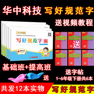 写好规范字教程全套6本 中小学生硬笔书法字帖教材6本套装 基础班提高班培训机构教材 规范汉字书写练字教程 钢笔铅笔字基础楷书