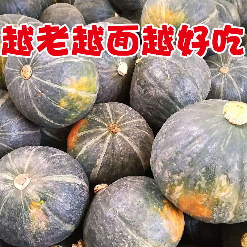 板栗南瓜 老品种圆南瓜东北面窝瓜倭瓜 非贝贝小南瓜 新西兰南瓜
