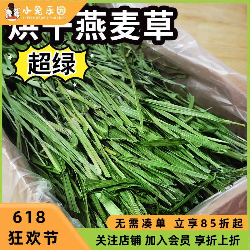 精选燕麦草烘干叶多香绿富含纤维箱装净重500g兔子龙猫干草牧草