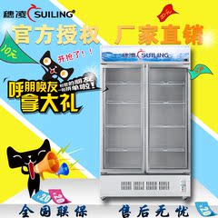 穗凌LG4-398M2冰柜商用立式双门单温直冷饮料展示柜水果保鲜柜