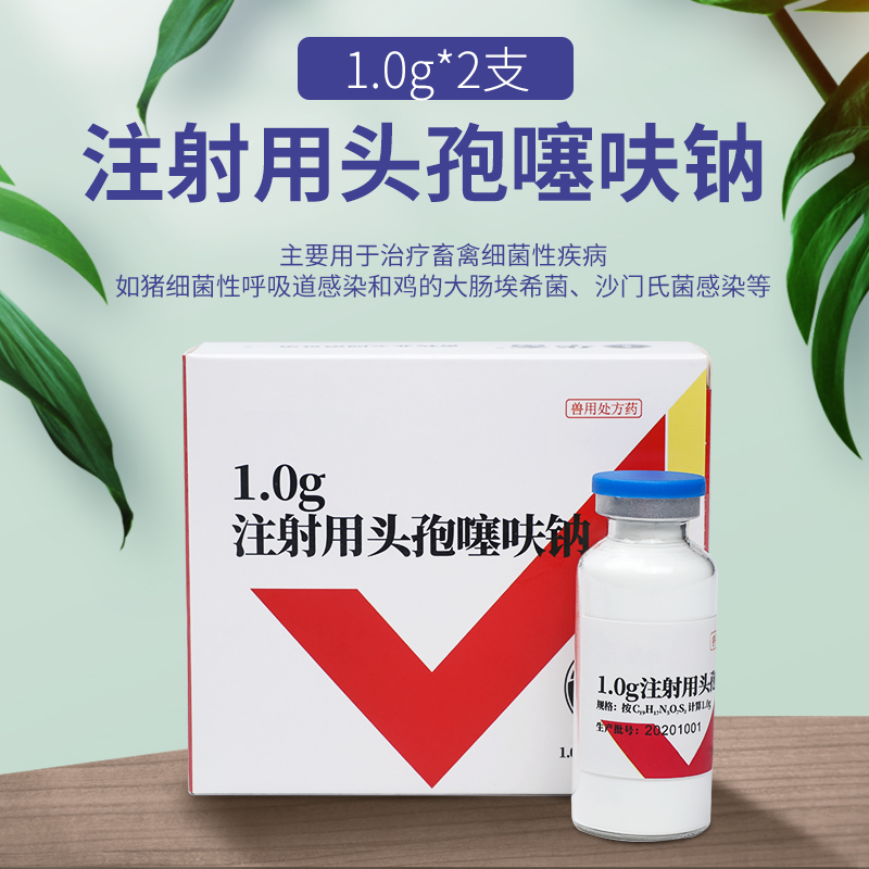 兽用 注射用兽药头孢噻呋钠 1gx2支兽药粉针先锋 兽用