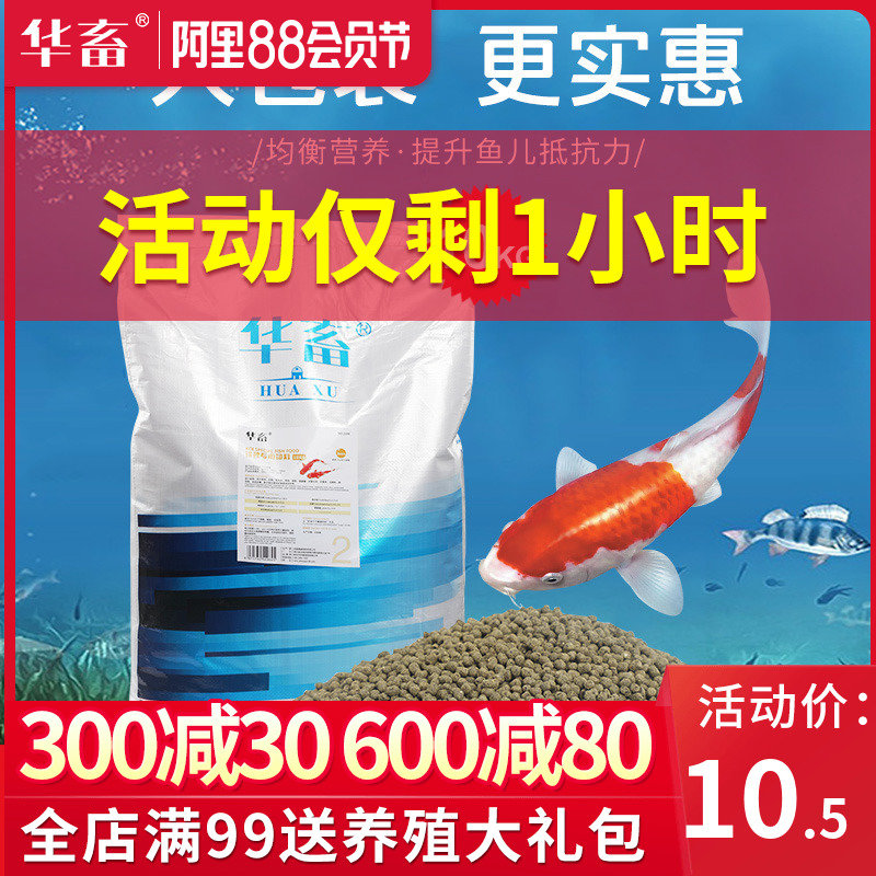华畜锦鲤鱼饲料20kg观赏鱼鱼食小金鱼锦鲤鱼粮增艳增色小型鱼鱼料在类目 宠物/宠物食品及用品, 水族世界, 观赏鱼饲料中 - 来自Buy2taobao.com提供专业的淘宝代购服务