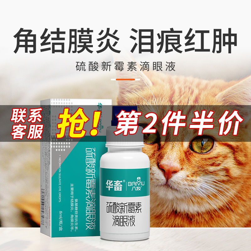 宠物硫酸新霉素滴眼液猫结膜角膜炎宠