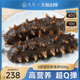 【5星级】即食海参大连海参旗舰店鲜活辽参海生正品8年野生500g