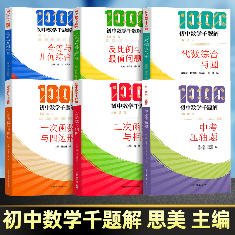 初中数学千题解一次函数与四边形全等与几何综合反比例与最值问题二次函数与相似 举一反三初中数学千题巧解中考压轴题 2023中考