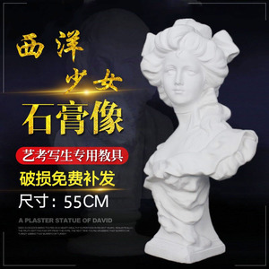 西洋少女石膏人物头像雕塑装饰摆件石膏像美术教具素描几何体教具