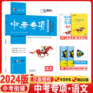 2024版 天津专版一飞冲天中考专项精品试题分类语文初中总复习专题分项练习 中考一轮复习