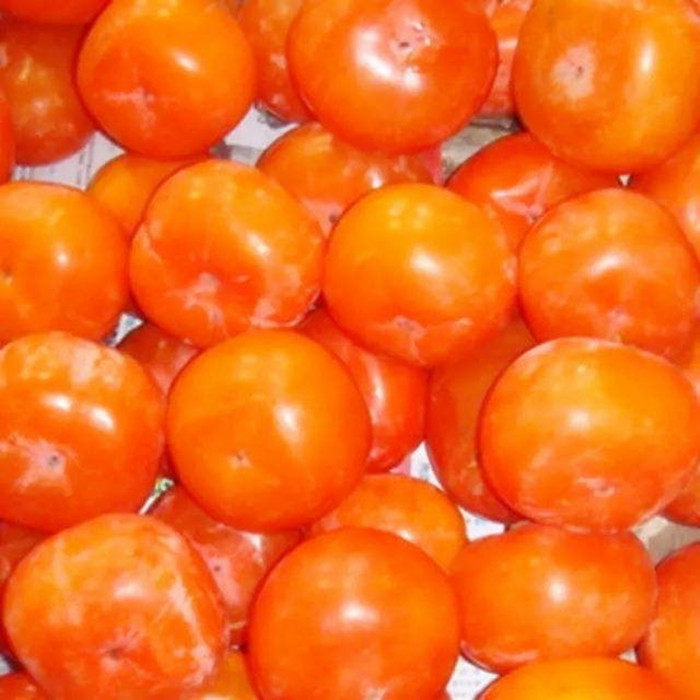 冻柿子小_4斤东北冻货小冻柿子水果 新鲜小柿子火晶甜柿子不涩软甜