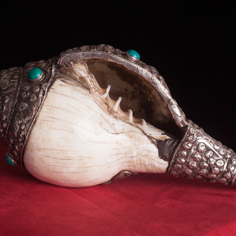 藏传扎寺 密宗必备法器 精美手工包银法螺 佛法加持