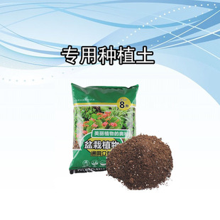 出口种植土nutrient soil铁线莲绣球兰花玫瑰月季盆栽专用营养土