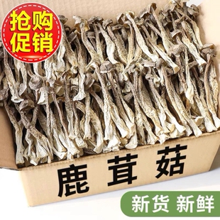 23年鹿茸菇500g干货特级鹿茸菌无硫新鲜古田脆脆菇蘑姑干香菇包