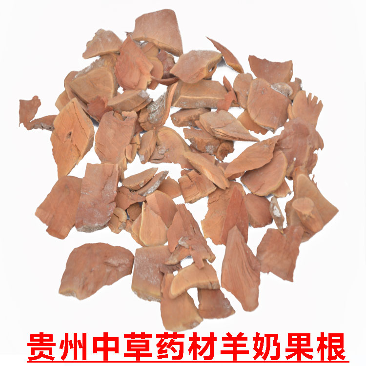 贵州产野生羊山咪树根 羊奶果根 牛虱子果根 羊奶头