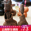 順生源雲南深山回春草 不老草 頂天柱250g特價包郵2018年新貨 順生源雲南深山回春草 不老草 頂天柱250g特價包郵2018年新貨