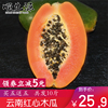 雲南紅心木瓜10斤整箱當季新鮮冰糖心木瓜原産地現摘現發牛奶木瓜 雲南紅心木瓜10斤整箱當季新鮮冰糖心木瓜原産地現摘現發牛奶木瓜