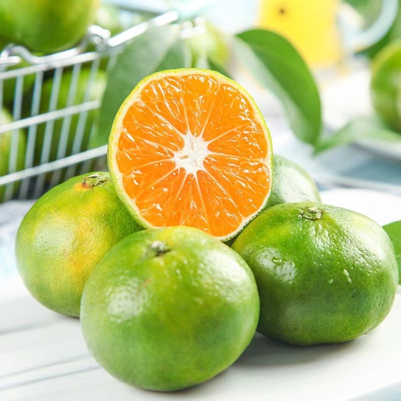 稀有新鲜云南青皮橘子应季桔子特早熟孕妇水果绿皮5/9斤酸甜多汁