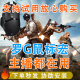 绝地求生PUBG罗G系列G502宏鼠标红吃鸡支持GPW鼠标HERO102304等