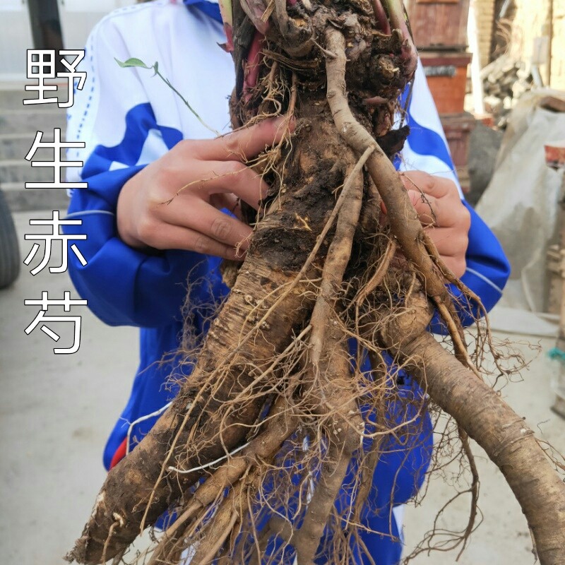 野生赤芍白赤芍整根切片500g新品