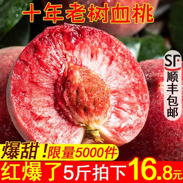正宗血桃10斤红心桃子新鲜水果当季