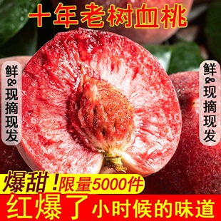 桃子5斤新鲜水果现摘现发红心血桃当季毛桃整箱脆桃应季水蜜桃子