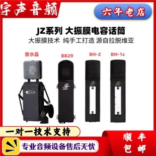 JZ黑洞BH-2 BH1S 紫水晶 BB29 手工电容话筒大振膜录音直播麦克风