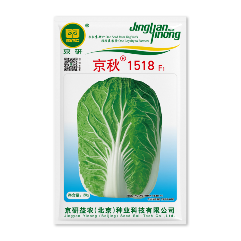 北京农科院京研大白菜种子义和秋晚熟高产抗病胶东大白菜蔬菜种子