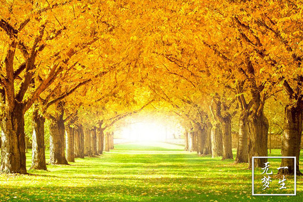 十字绣钻石绣2017新款满钻风景_钻石画满钻黄金满地风景贴钻十字绣