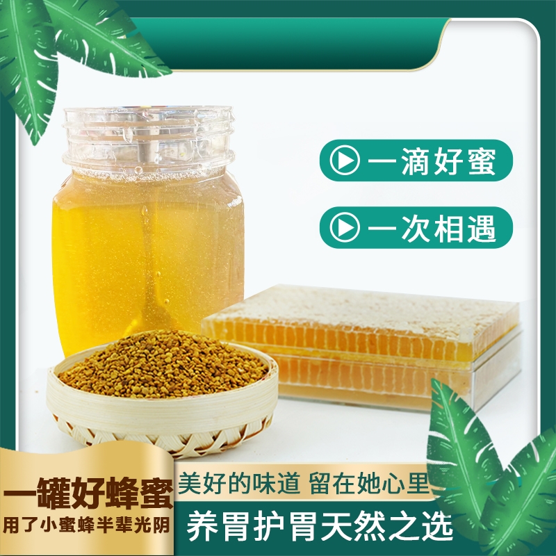 刘波宁太行山野酸枣蜜一百六斤 不添加不喂糖不加工保质期久好吃