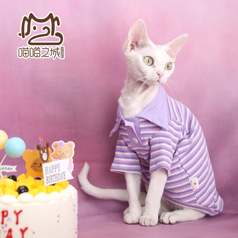 24年夏无毛猫事务所德文宠物猫衣服棉透气淡紫色条纹华夫格POLO衫
