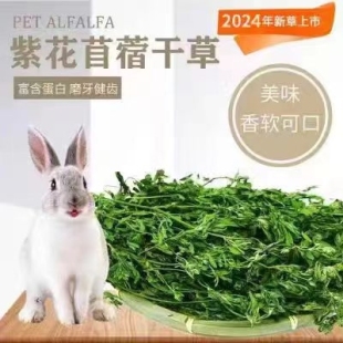 苜蓿草干草幼兔粮食荷兰猪龙猫干草饲料兔粮毛重1000克包邮苜宿草