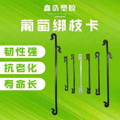 grape grape Buckle button Kiwi Hooks Drip Clip Baggingin the Flower delivery/Flowers simulation/Plants gardening , Gardening supplies , Other Garden Supplies category - from Buy2taobao.com to provide professional Taobao agent buy service