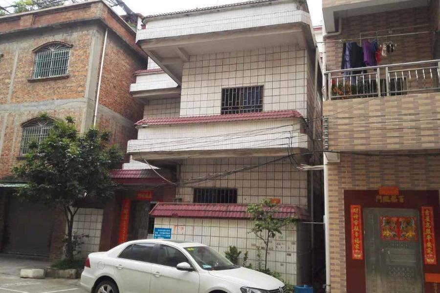 【第一次拍卖】佛山市顺德区乐从镇水藤村委会新街涌边大街3号房产
