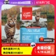 【自营】渴望进口无谷六种鱼成幼猫通用型全猫猫粮5.4KG临期24-9