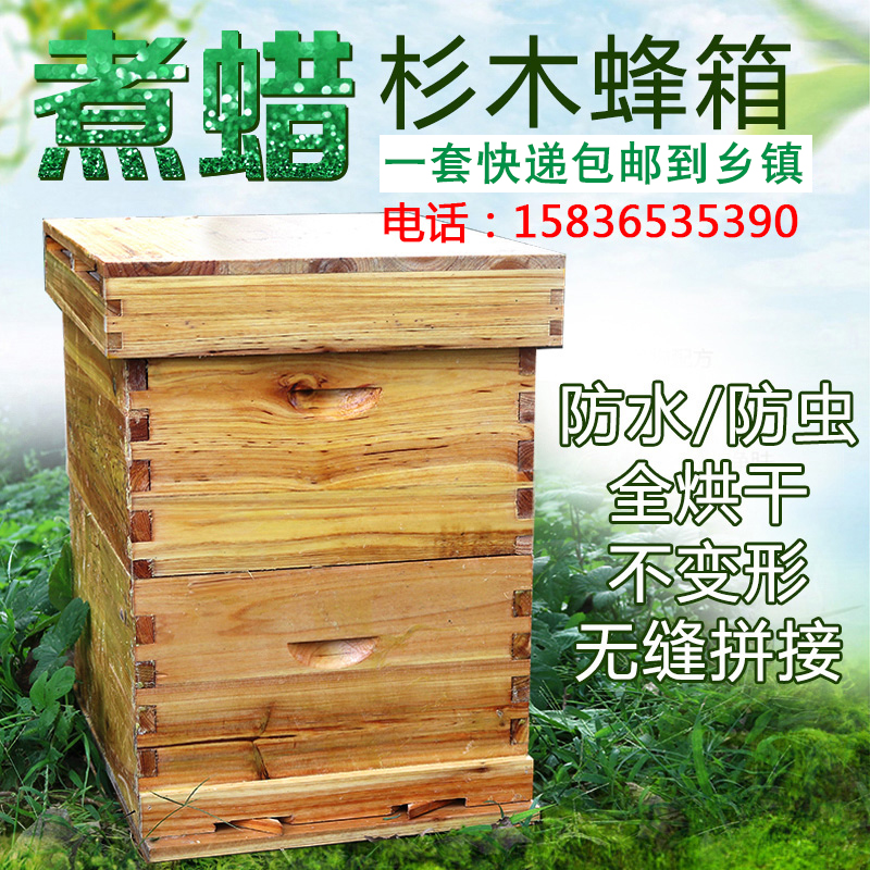 标准十框蜡煮杉木蜂箱煮蜡高箱意蜂蜂箱 煮蜡蜂箱高箱