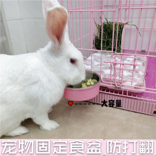 兔子食盆荷兰猪豚鼠可固定食盒龙猫宠物兔防打翻兔粮饭碗食槽包邮