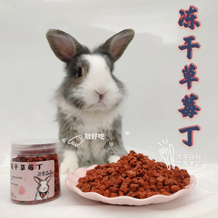 兔子零食冻干草莓粒龙猫荷兰猪草莓丁宠物兔水果干仓鼠补充vc草莓