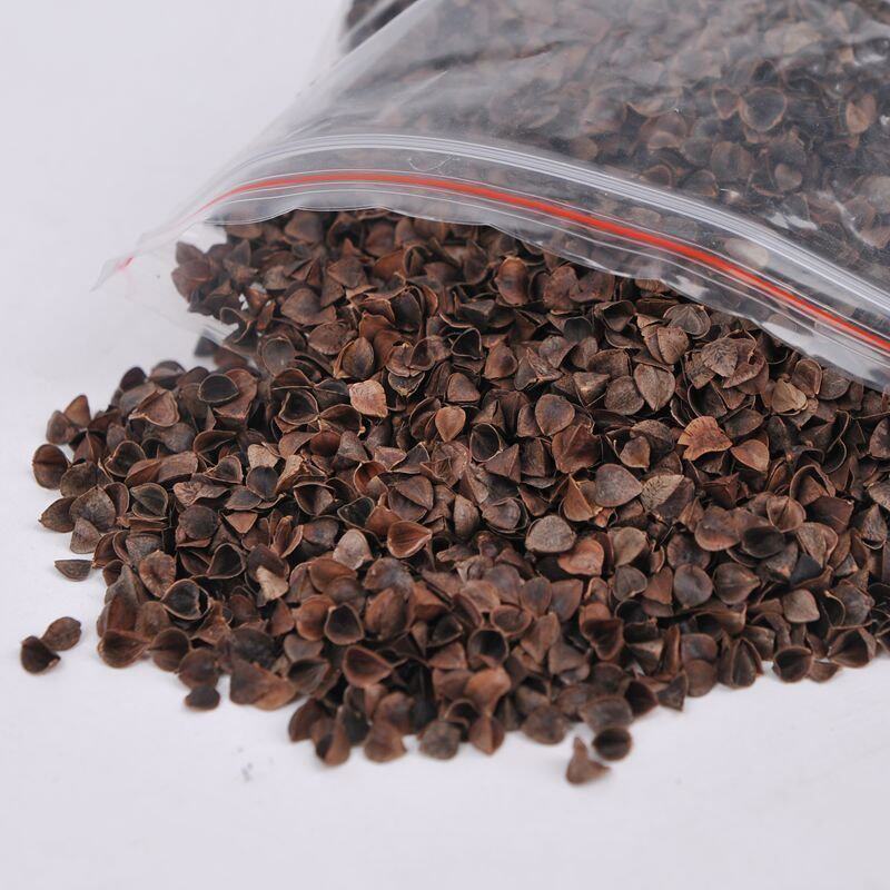 麦迪生内蒙赤峰散荞麦壳苦荞麦皮甜荞麦皮5斤送布料双层内胆包邮