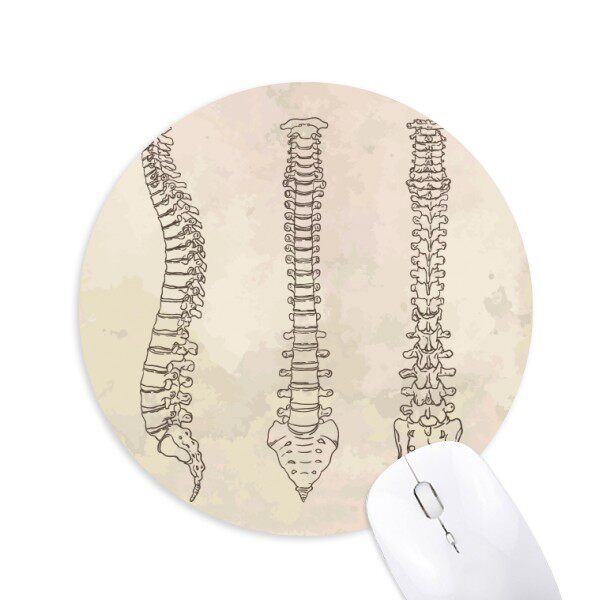 脊椎骨人体骨骼素描圆形游戏办公防滑橡胶鼠标垫鼠标垫