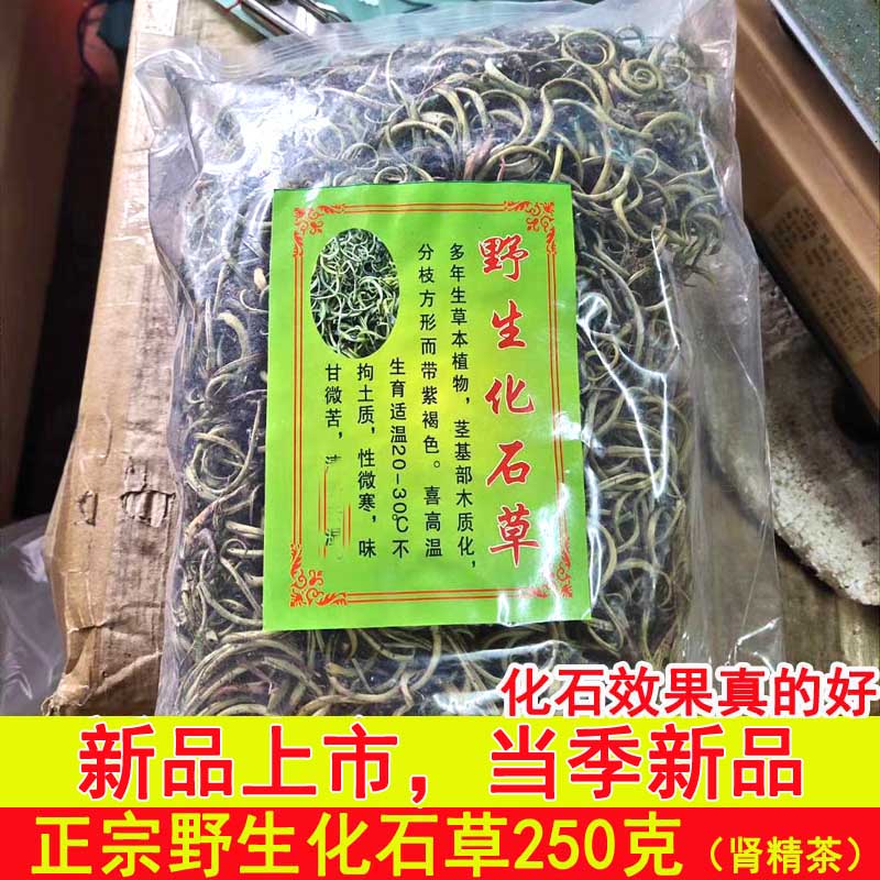 化石草中医世家图片