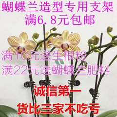 植物夹子蝴蝶兰花卉支架花夹爬藤支架园艺花架地面插花杆盆栽包邮