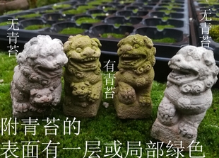 迷你mini小石狮子袖珍摆件青苔藓雨林鱼缸moss沙漠微景观丑萌造景