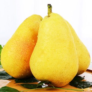 茄梨包邮东北图片