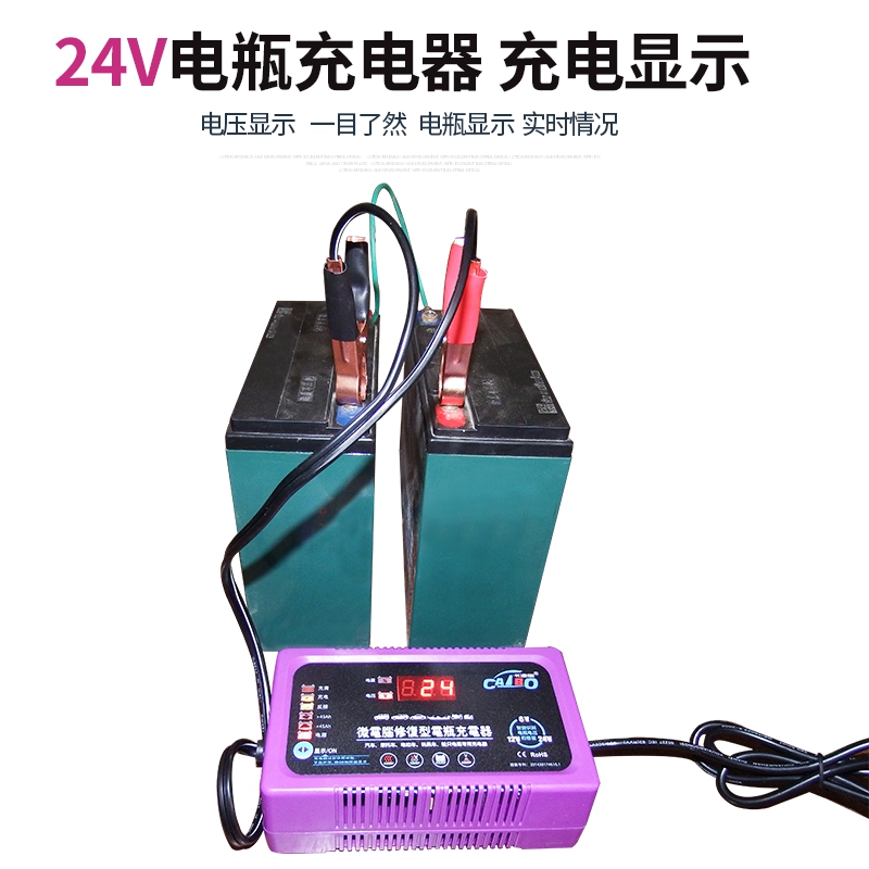 中国十大蓄电池充电器图片