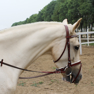 水勒缰绳配件图片