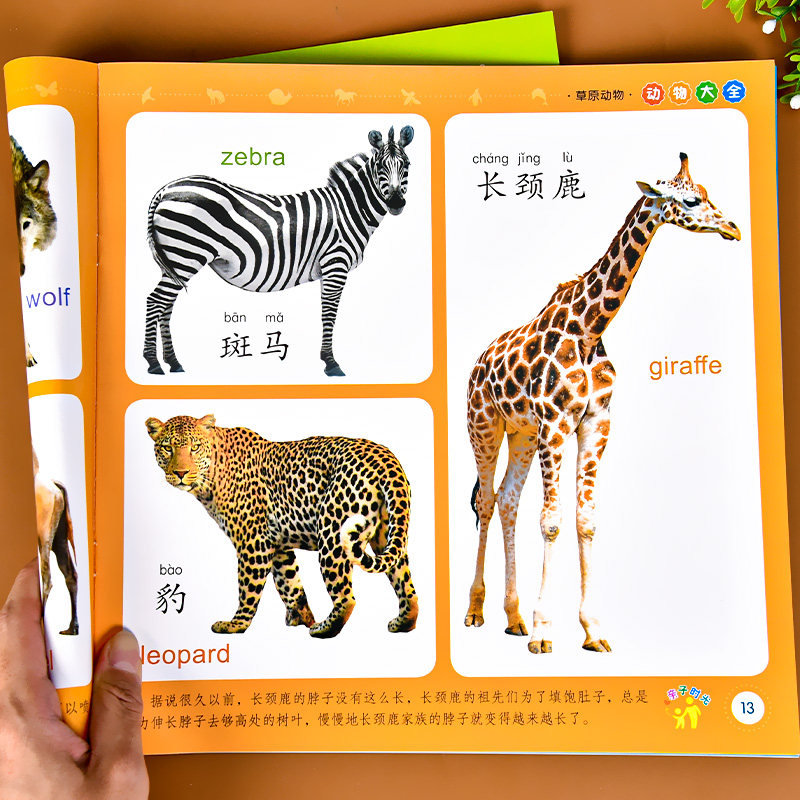 动物大全 宝宝看图识物认识动物早教绘本0-1-2-3岁幼儿认知启蒙书儿童