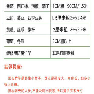 竹竿园艺支架豆角黄瓜支撑杆花架植物园番茄固定爬藤架菜园搭架杆